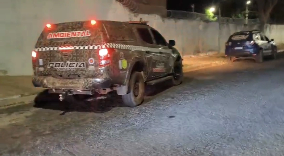 Briga entre vizinhos termina com dois cães mortos a tiros em Nazária
