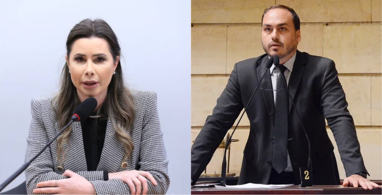 Carol de Toni e Carlos Bolsonaro são eleitos ao Senado