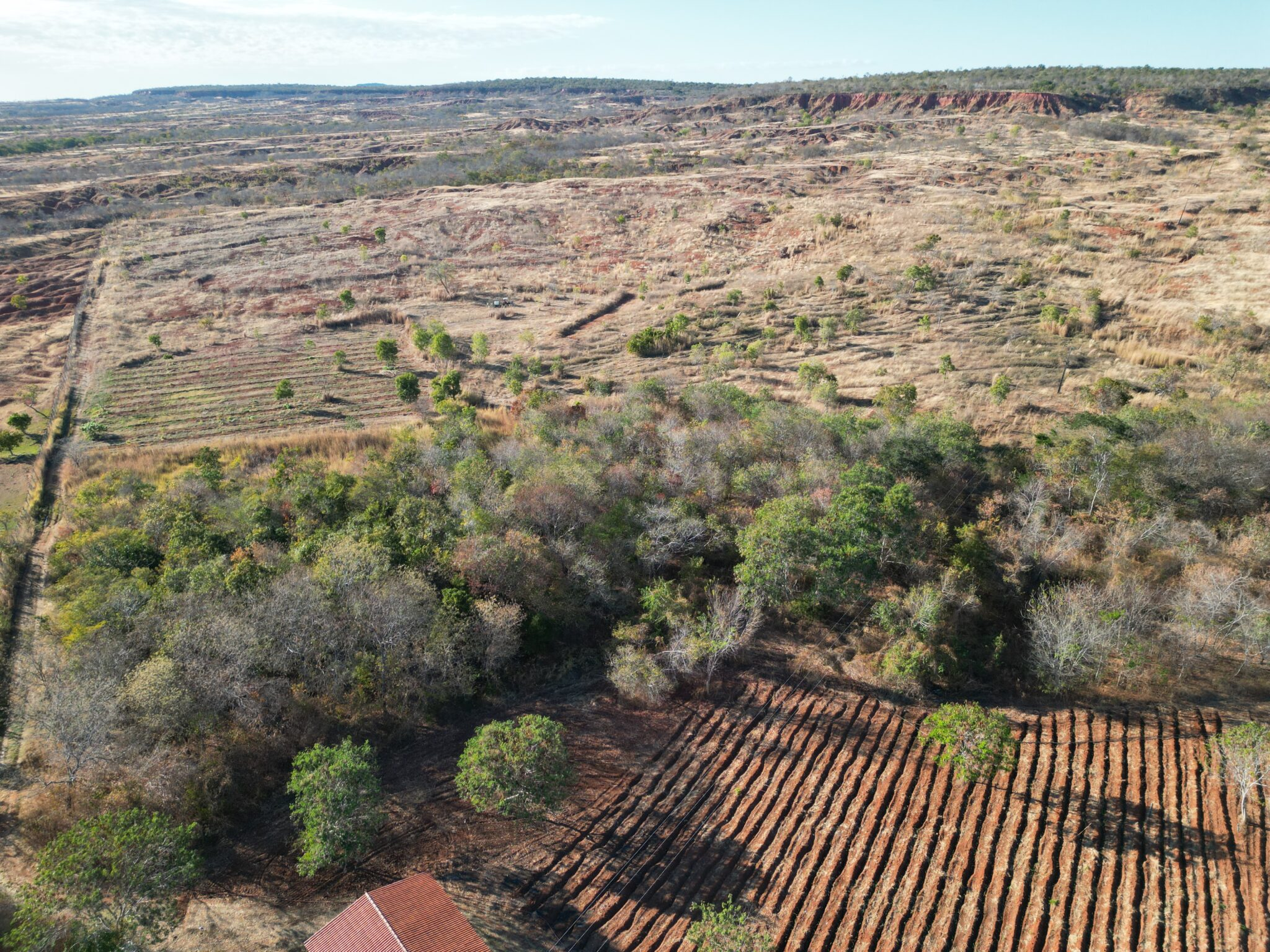 cERRADO