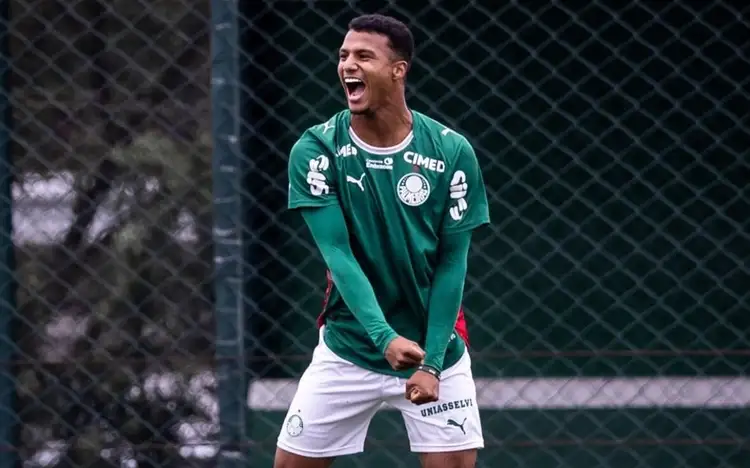 Fabiano - Palmeiras