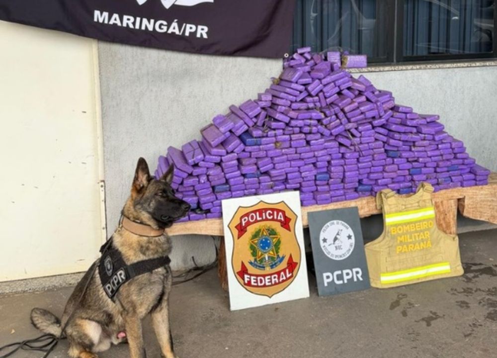 FICCO/PR apreende 210 kg de maconha em Sarandi