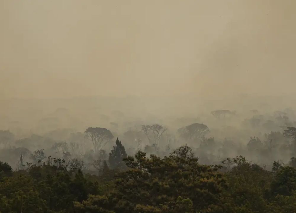Força Nacional do SUS apoia atendimentos no Amazonas após incêndios