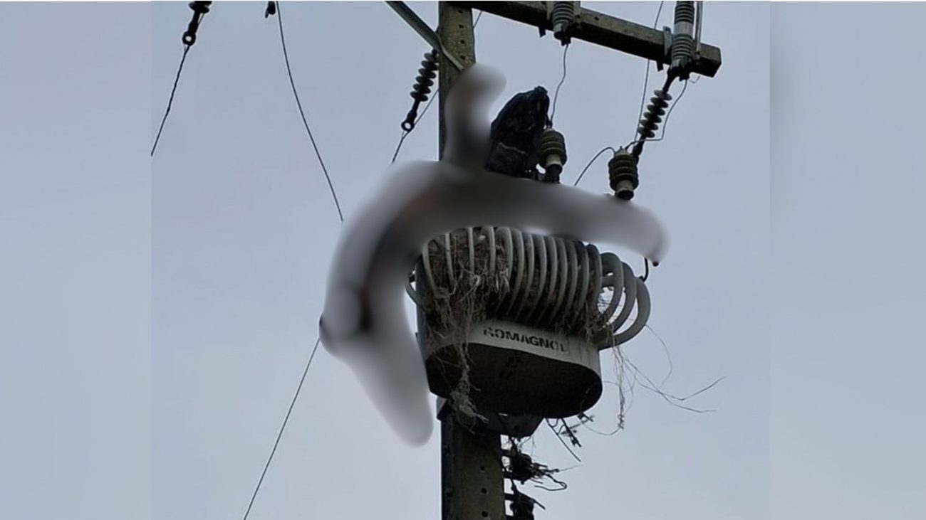 Homem sobe em transformador de energia elétrica, morre eletrocutado e fica pendurado em poste em SC