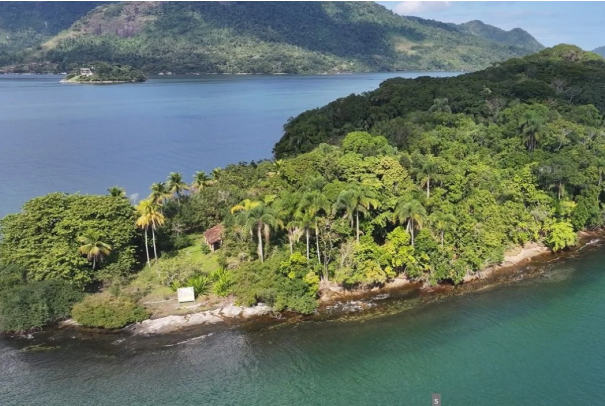 Ilha
