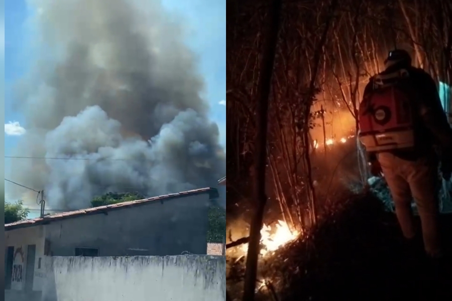 Incêndio florestal dura mais de 24 horas e mobiliza brigadistas em Sigefredo Pacheco