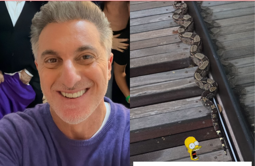 Luciano Huck