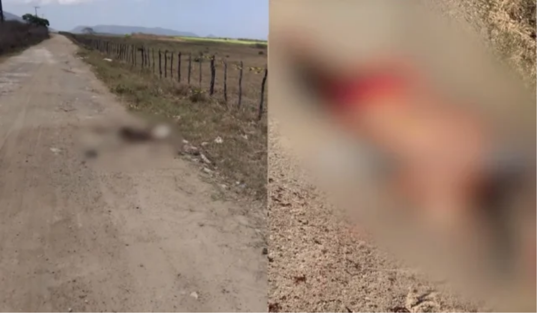 Moradores encontram corpo de homem morto a pedradas na zona rural de Caucaia