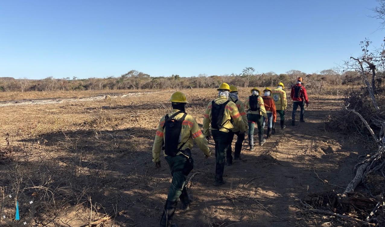 Piauí registra menor número de queimadas para setembro em uma década
