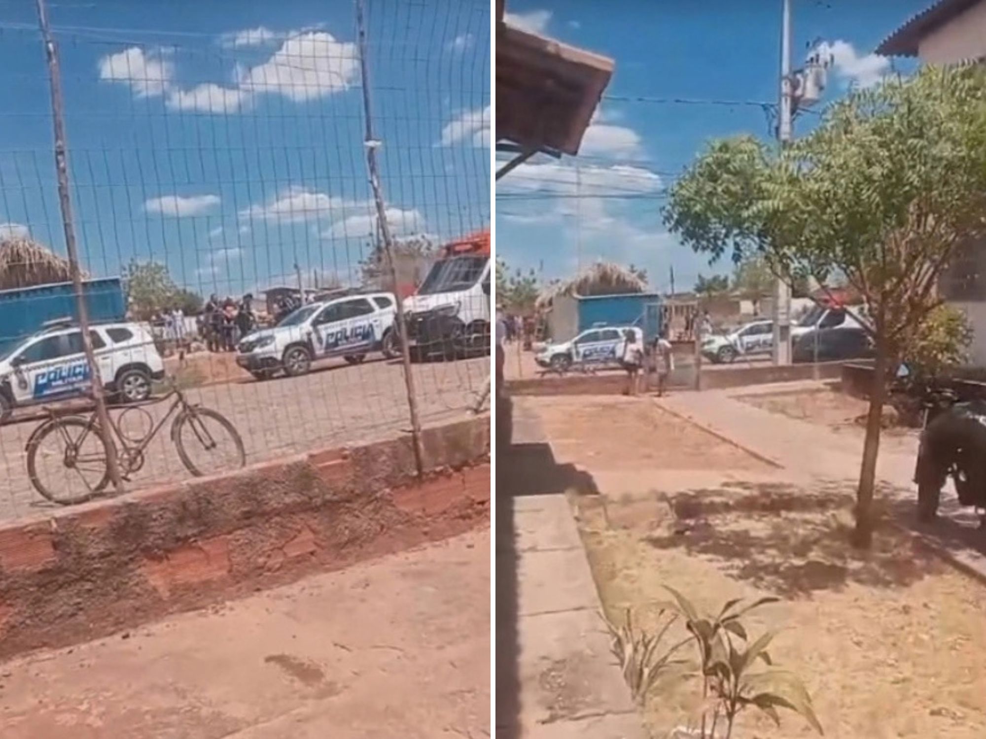 Reprodução