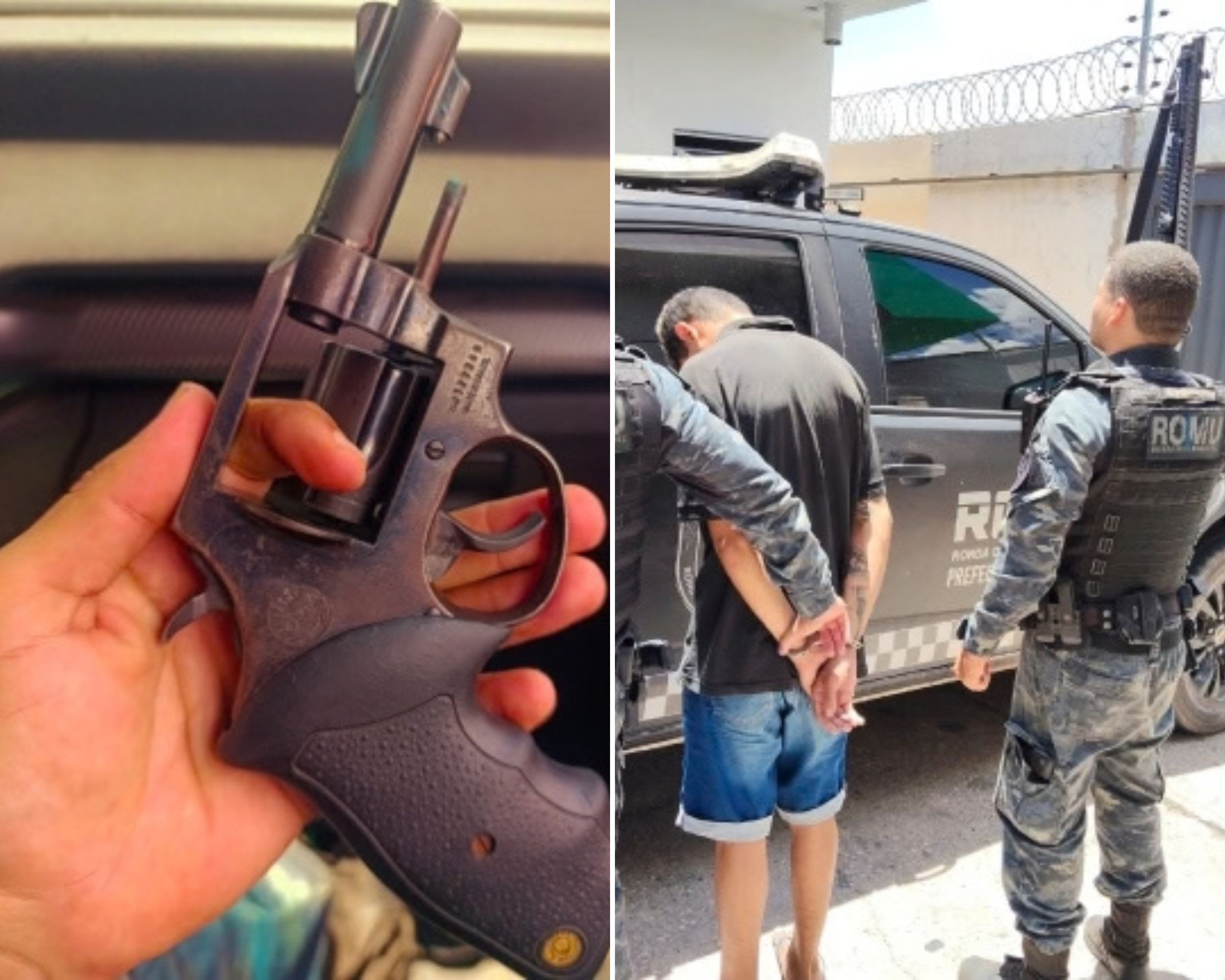 Reprodução