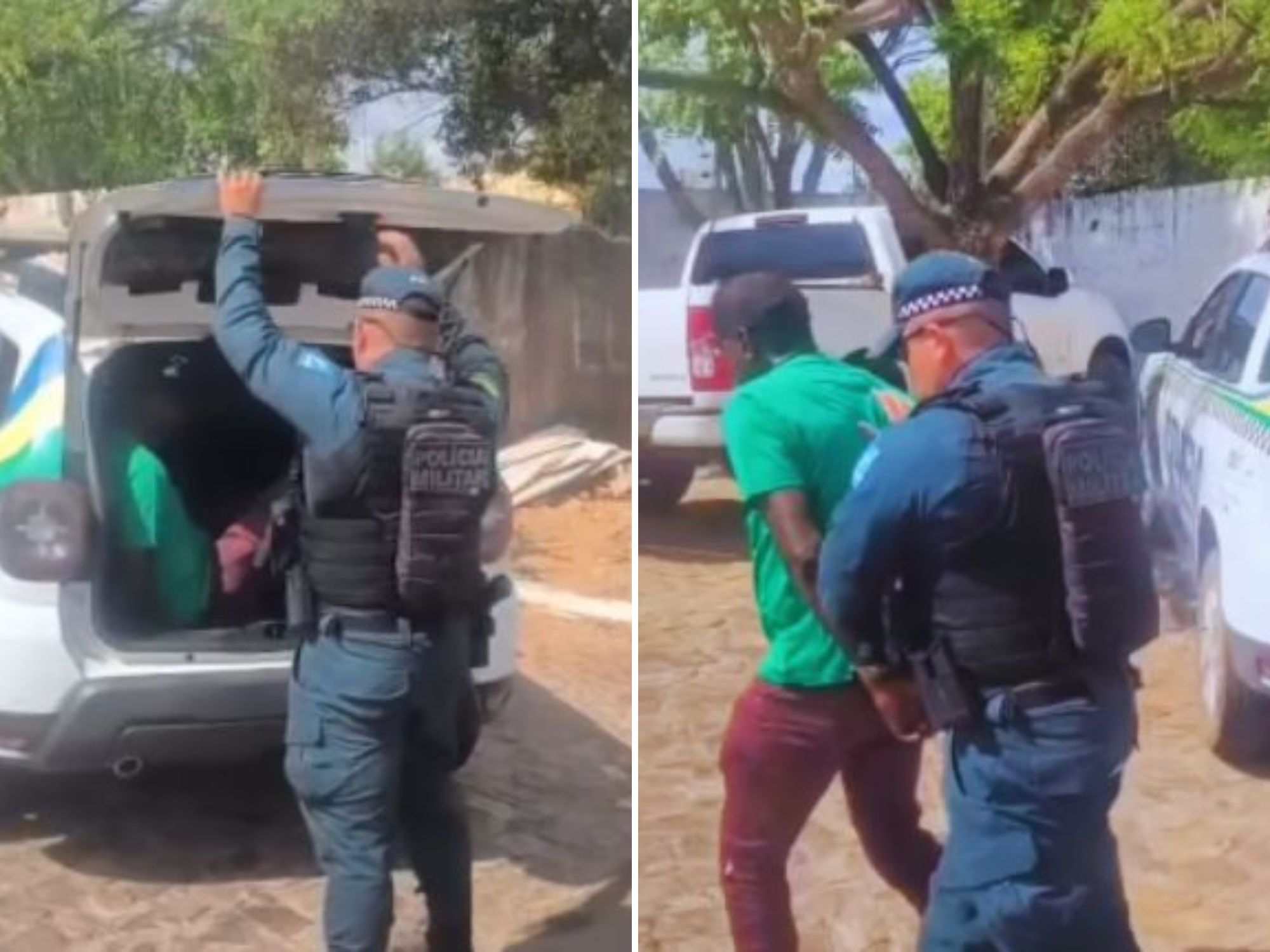 Reprodução