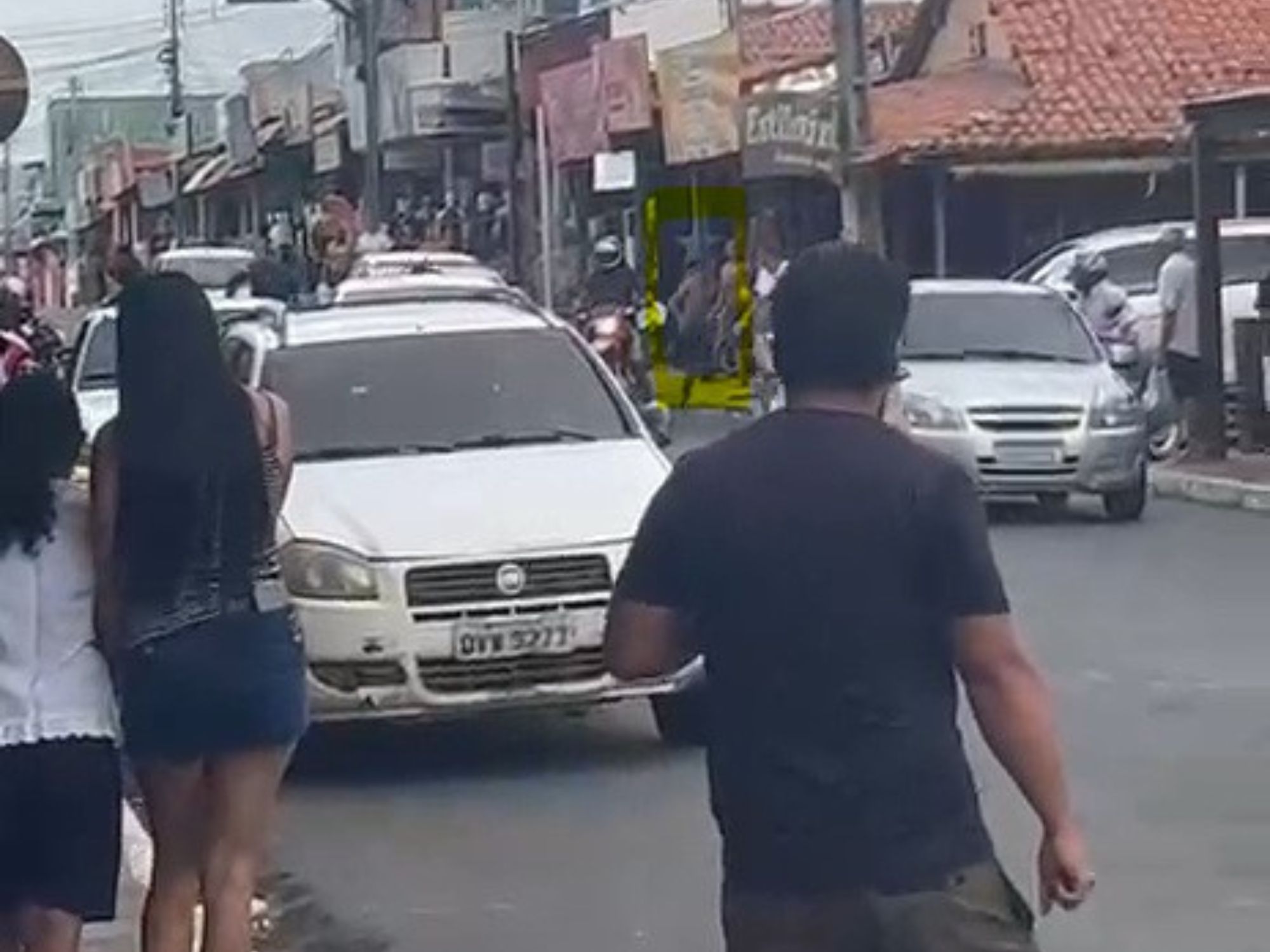 Reprodução