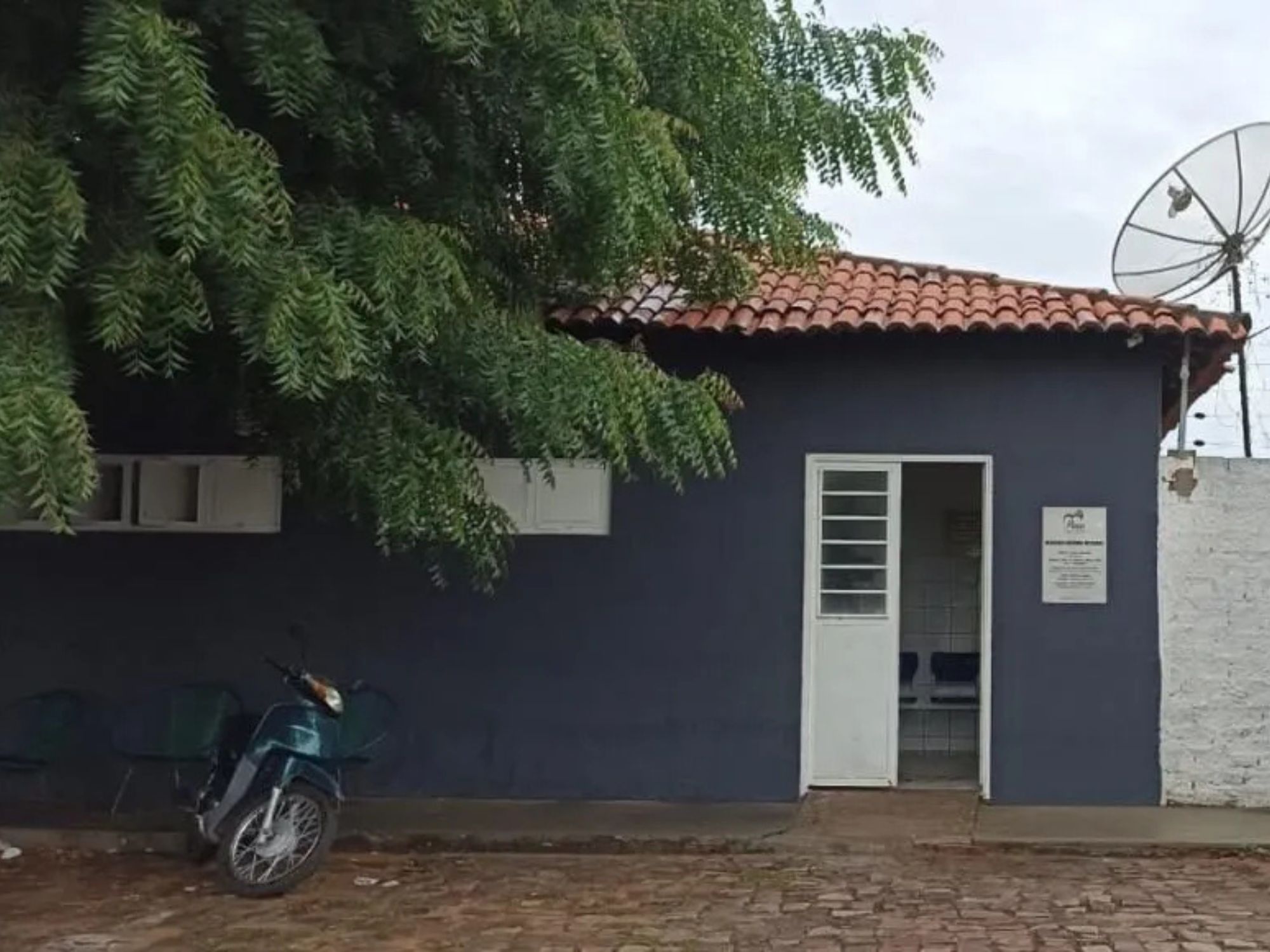 Reprodução