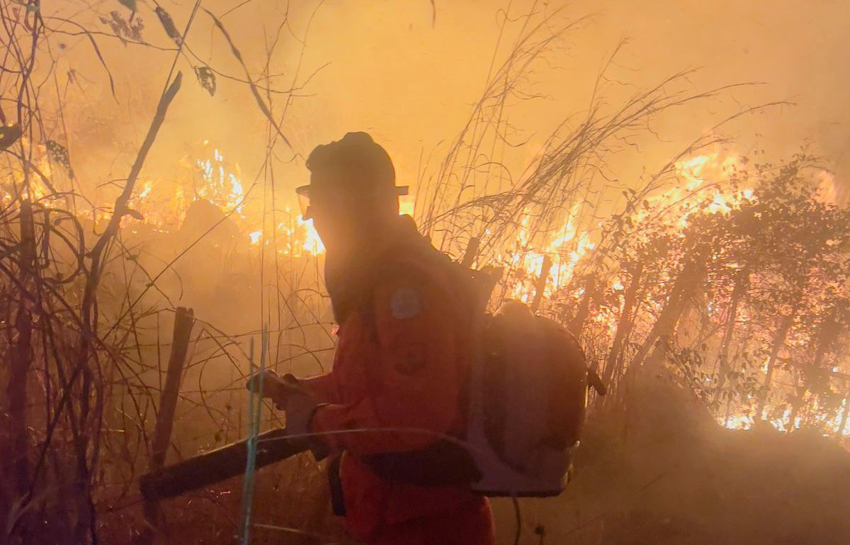 Semarh proíbe queimadas em imóveis rurais até 30 de outubro para prevenir incêndios florestais em todo o Piauí