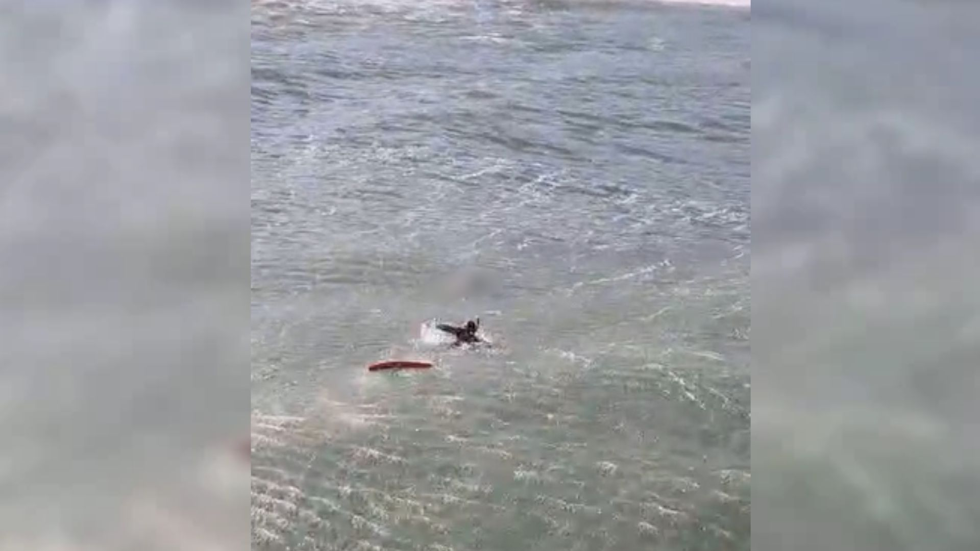 Turista alemã morre após se afogar em praia famosa de Florianópolis