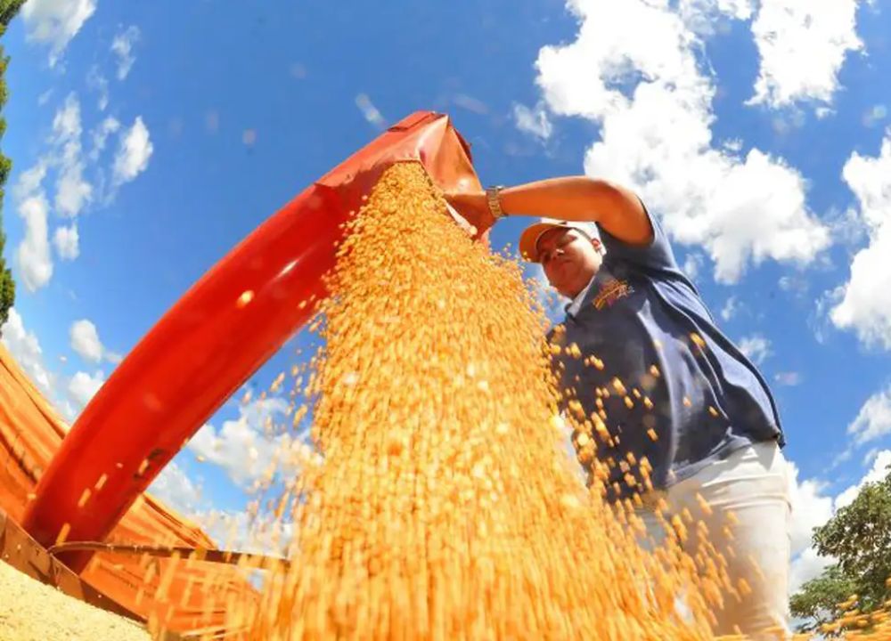 Produção de grãos pode chegar a 353,4 milhões de toneladas