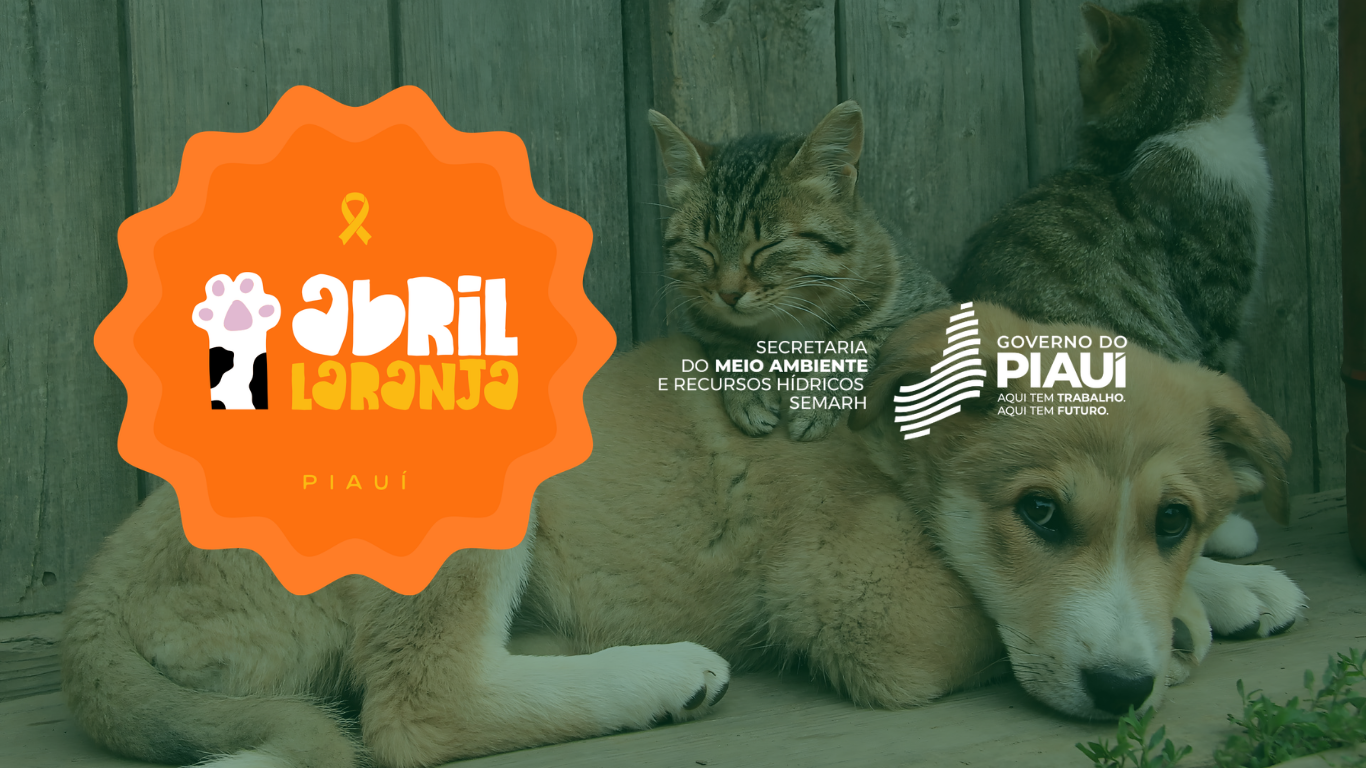 Abril laranja leva serviços gratuitos e ações de proteção animal a cidades do Piauí