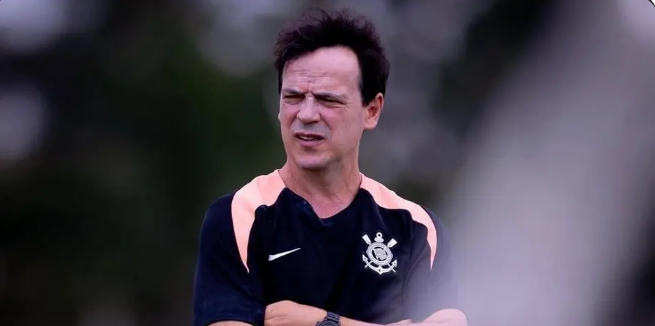 Fernando Diniz