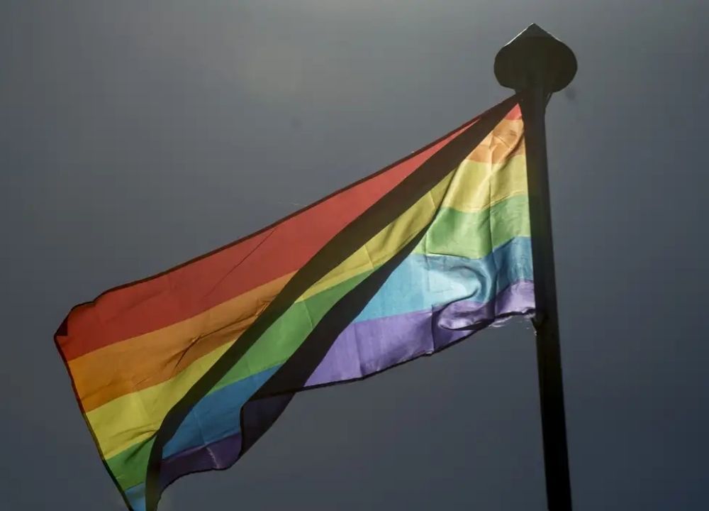 ilustração, bandeira, lgbt