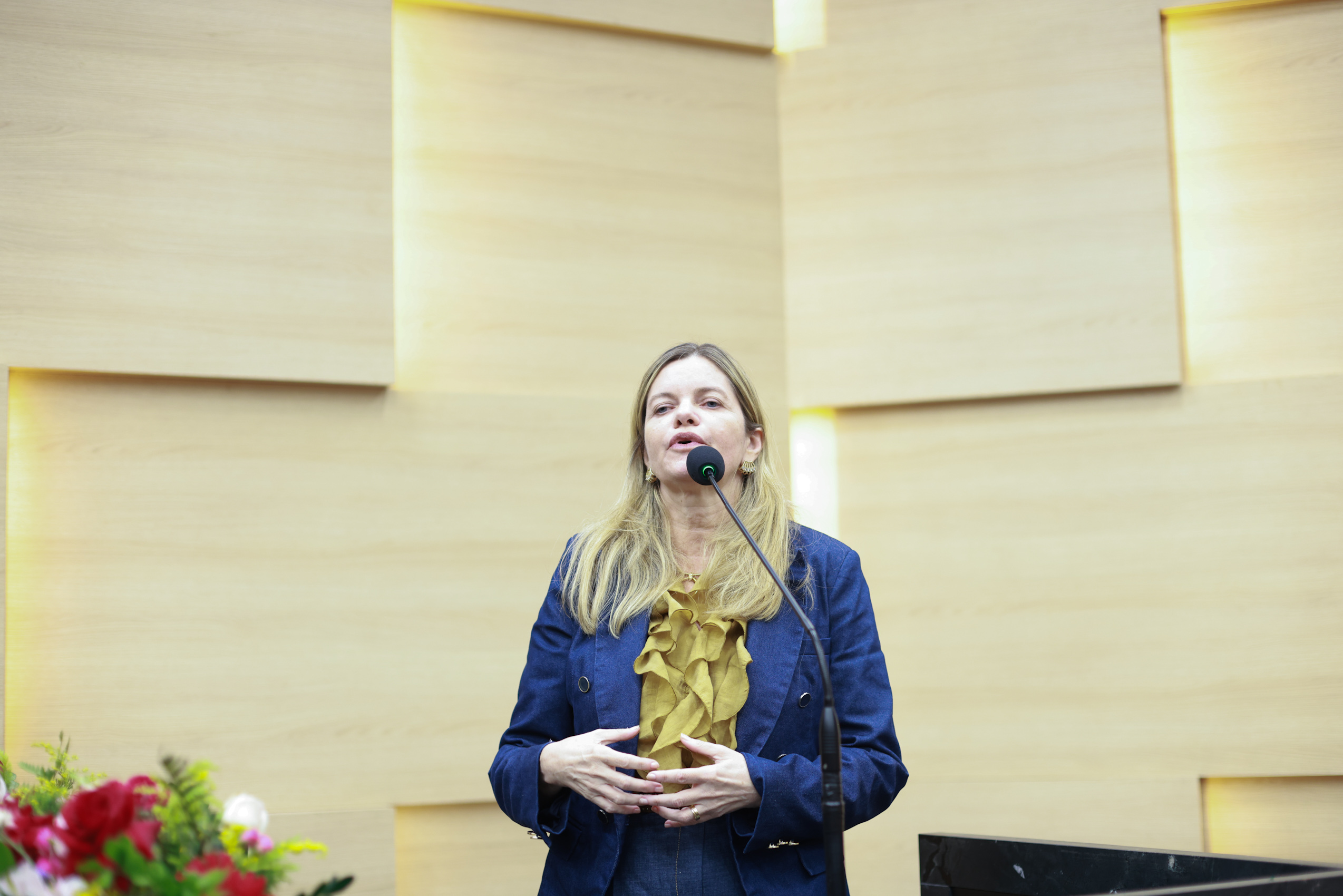 Gracinha Mão Santa