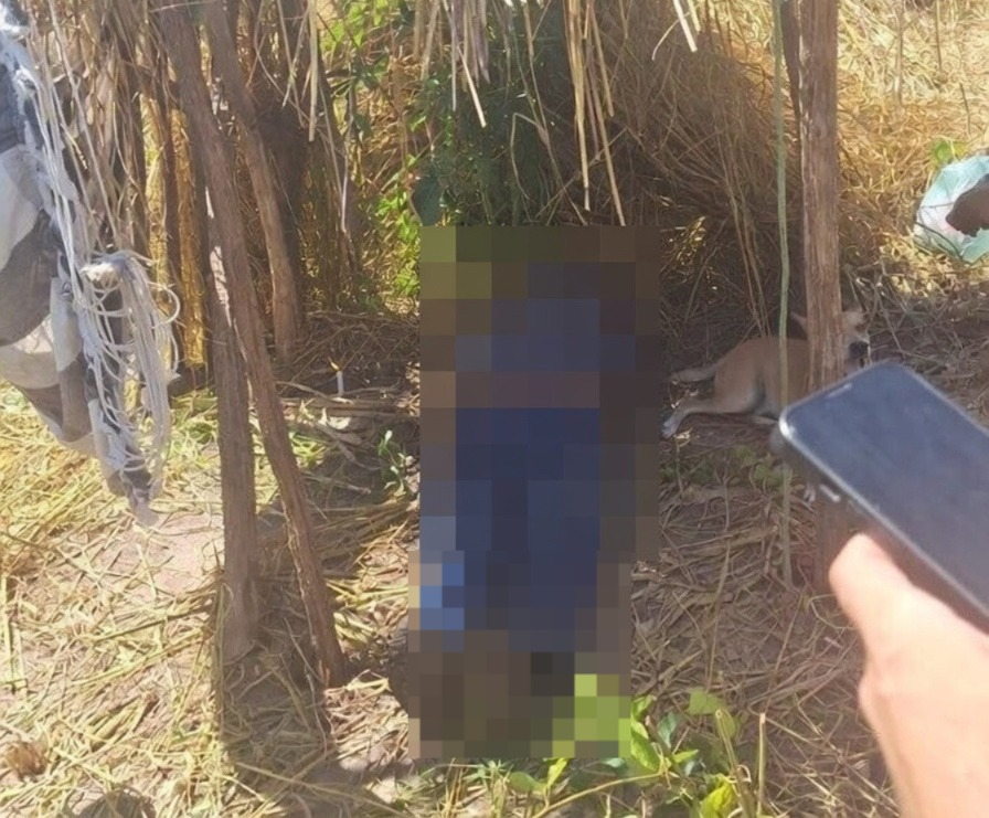 Morro do Chapéu do PiauíIdoso de 74 anos morre após passar mal durante trabalho em roça em Morro do Chapéu do Piauí