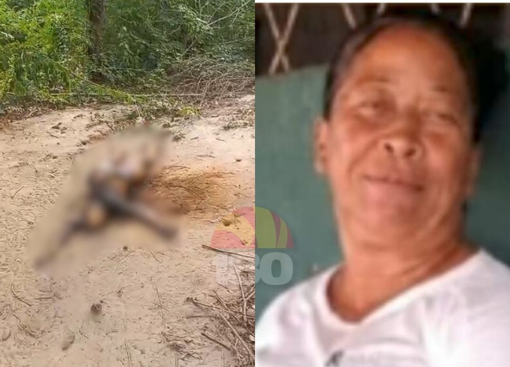 Corpo de mulher desaparecida é encontrado carbonizado às margens da BR-316