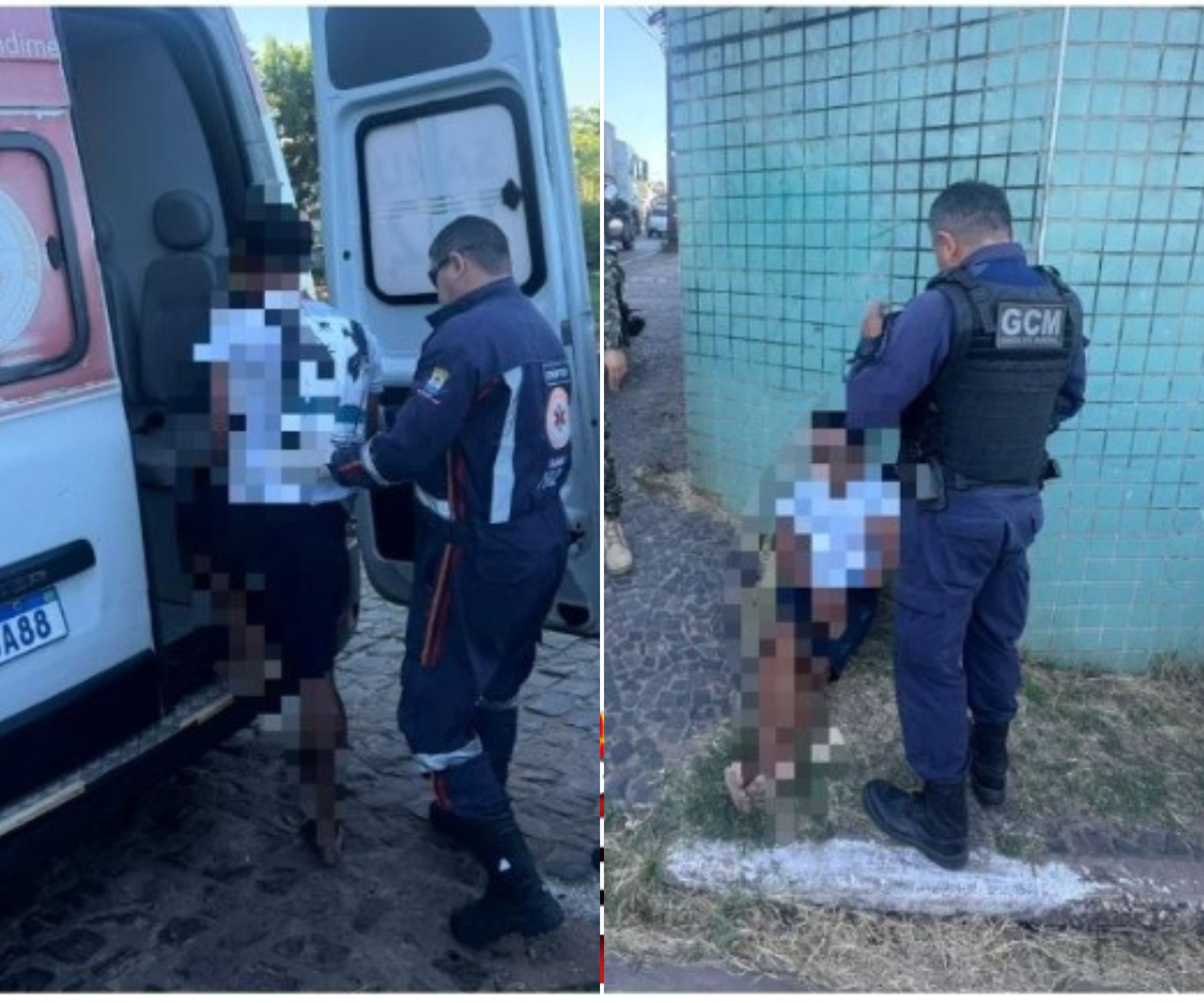 Divulgação