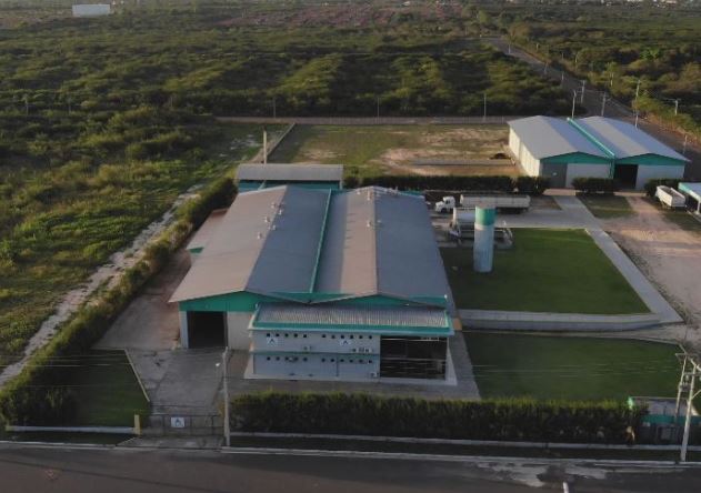 Empresa instalada na ZPE-PI que produz cera de carnaúba projeta crescimento de 50% em 2026