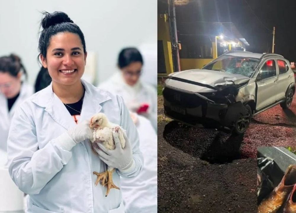 Estudante de medicina veterinária morre atropelada durante a madrugada na BR-369: “Minha estrela”