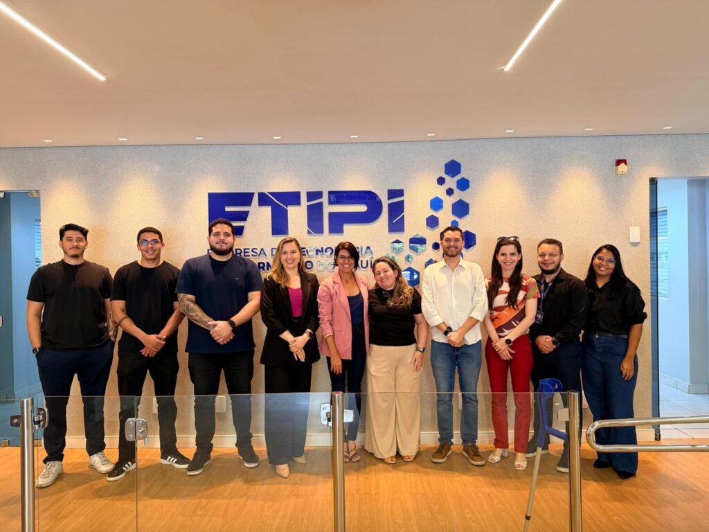 Etipi avança em estudo para ampliar acessibilidade da plataforma Gov.pi Cidadão