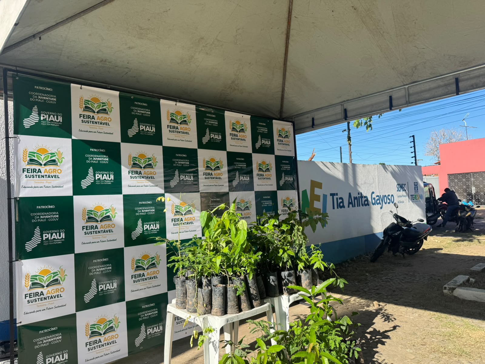 Feira Agro Sustentável fortalece agricultura familiar e incentiva práticas sustentáveis em Teresina