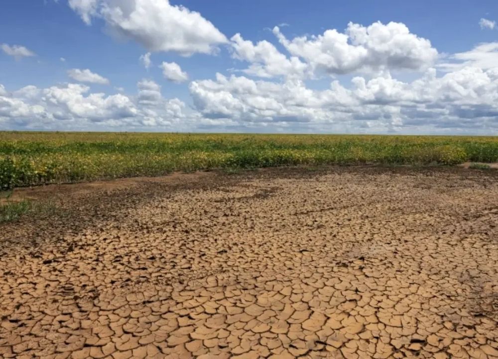 Governo Federal reconhece emergência por estiagem em quatro cidades do Piauí