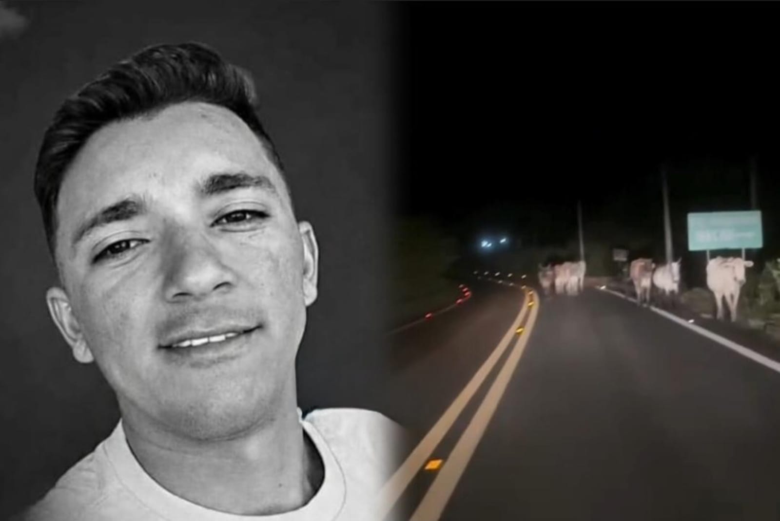 Motociclista morre após colidir com vaca na BR-222 em Piripiri