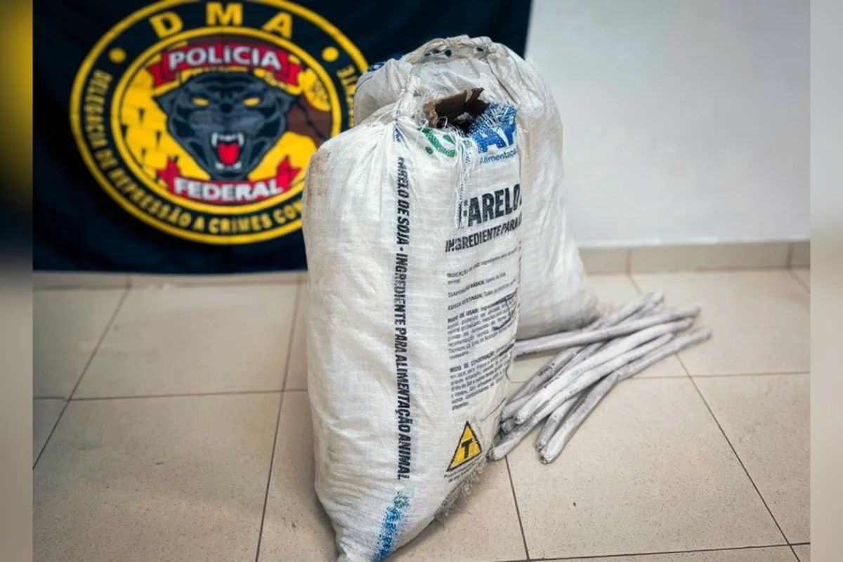 PF prende mulher com 200 kg de explosivos em Roraima