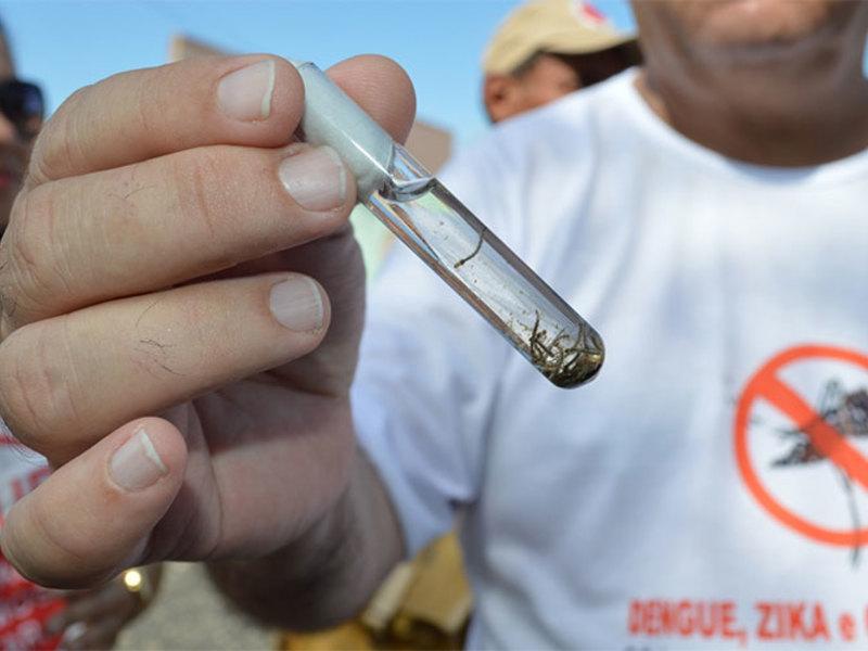 Prefeitura institui comitê técnico para combater casos de dengue em Teresina
