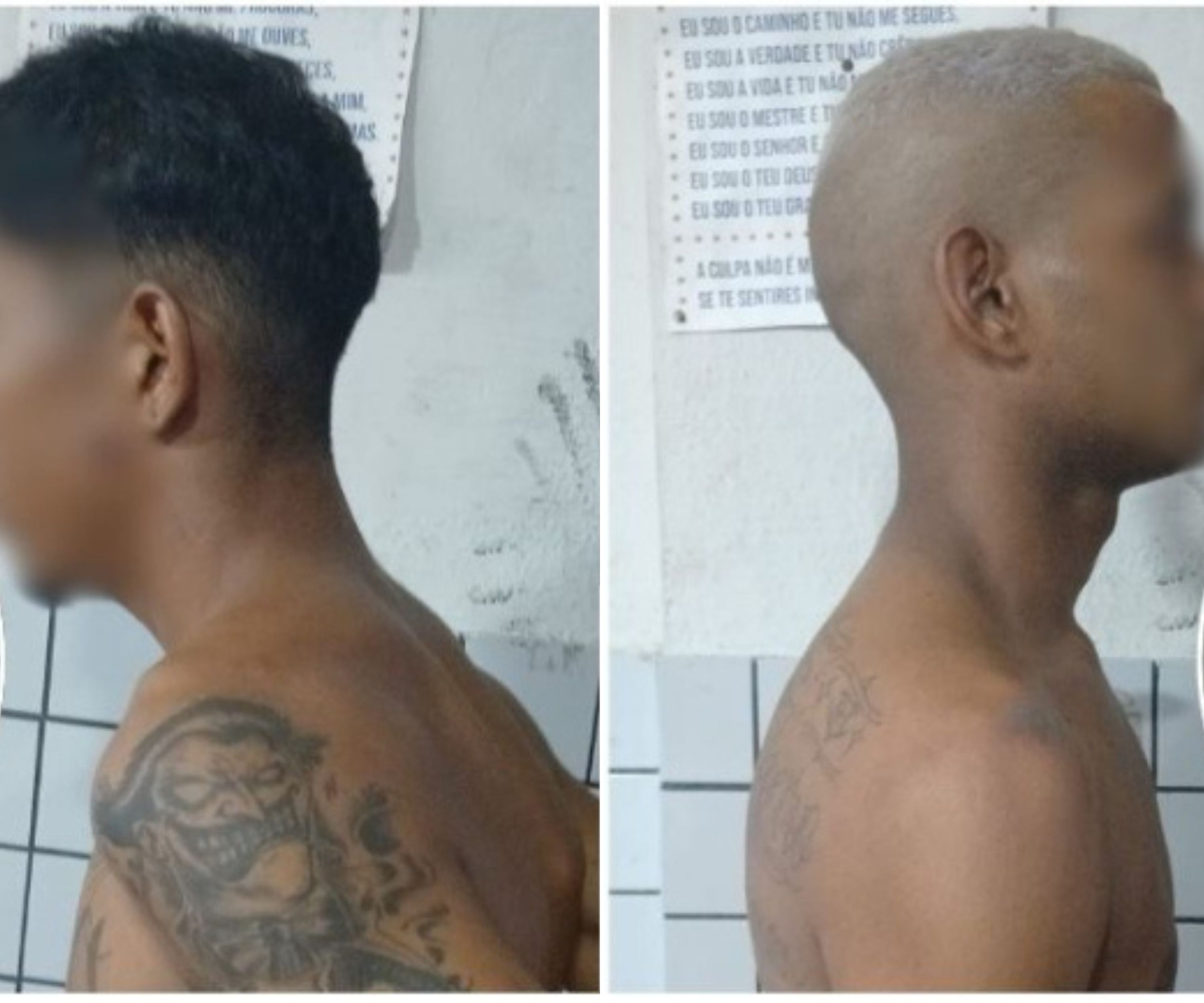 Reprodução