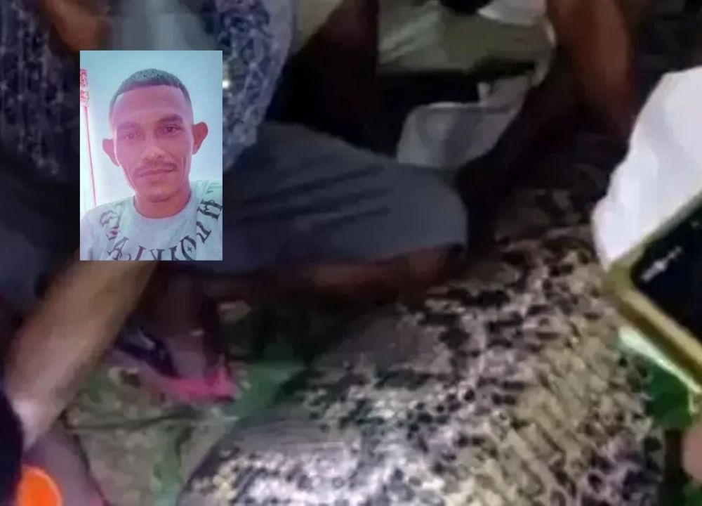 Agricultor é morto e encontrado dentro de cobra píton de 7 metros na Indonésia