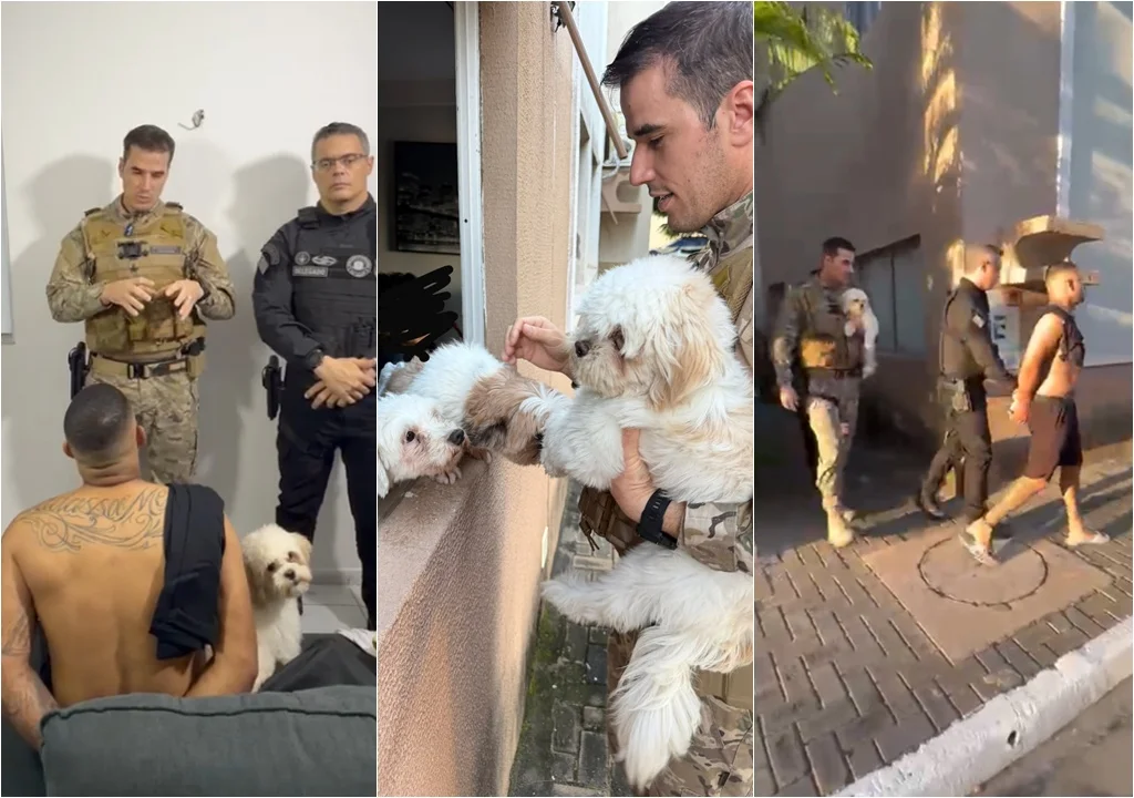 Cachorro permanece ao lado do tutor durante prisão em Teresina; veja vídeo