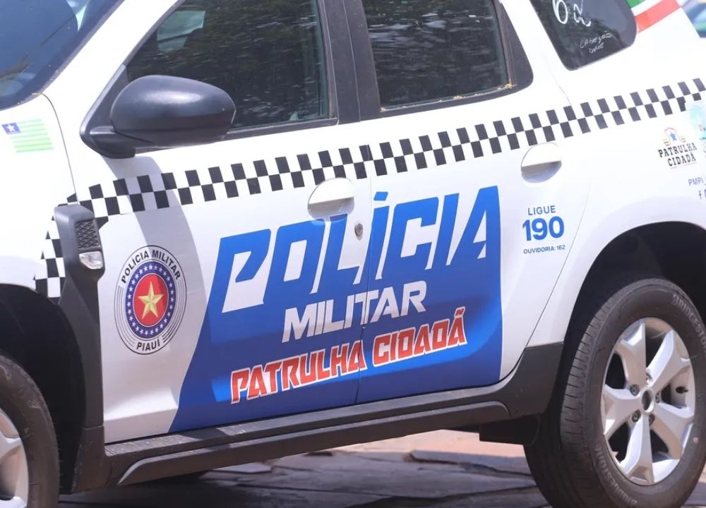 Carro da Polícia Militar do Piauí, ilustração, viatura