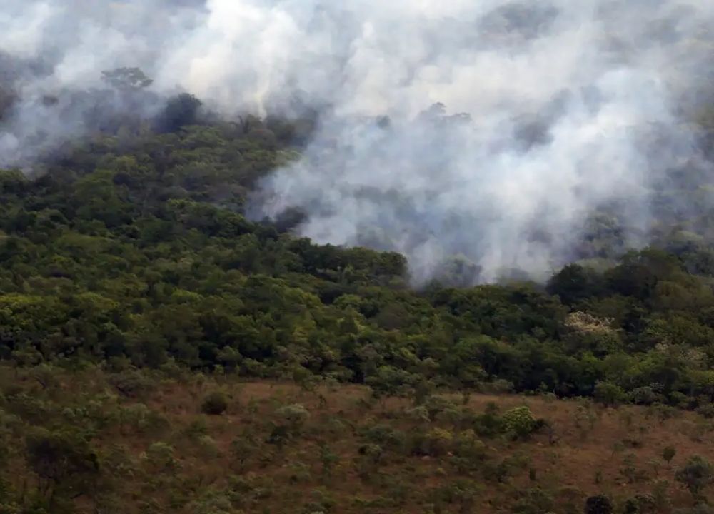 Copernicus: emissão global de gases por incêndios é a menor em 24 anos
