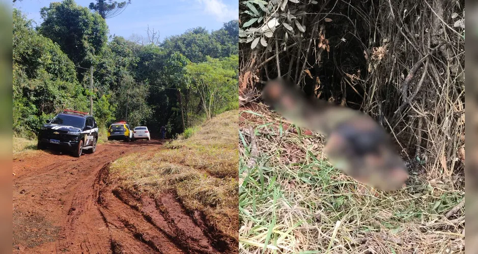 Corpo carbonizado é encontrado em área de mata de Apucarana