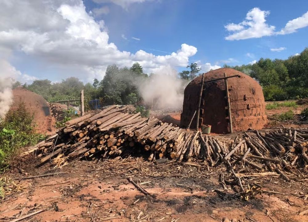 Corpo é encontrado carbonizado dentro de forno de carvoaria