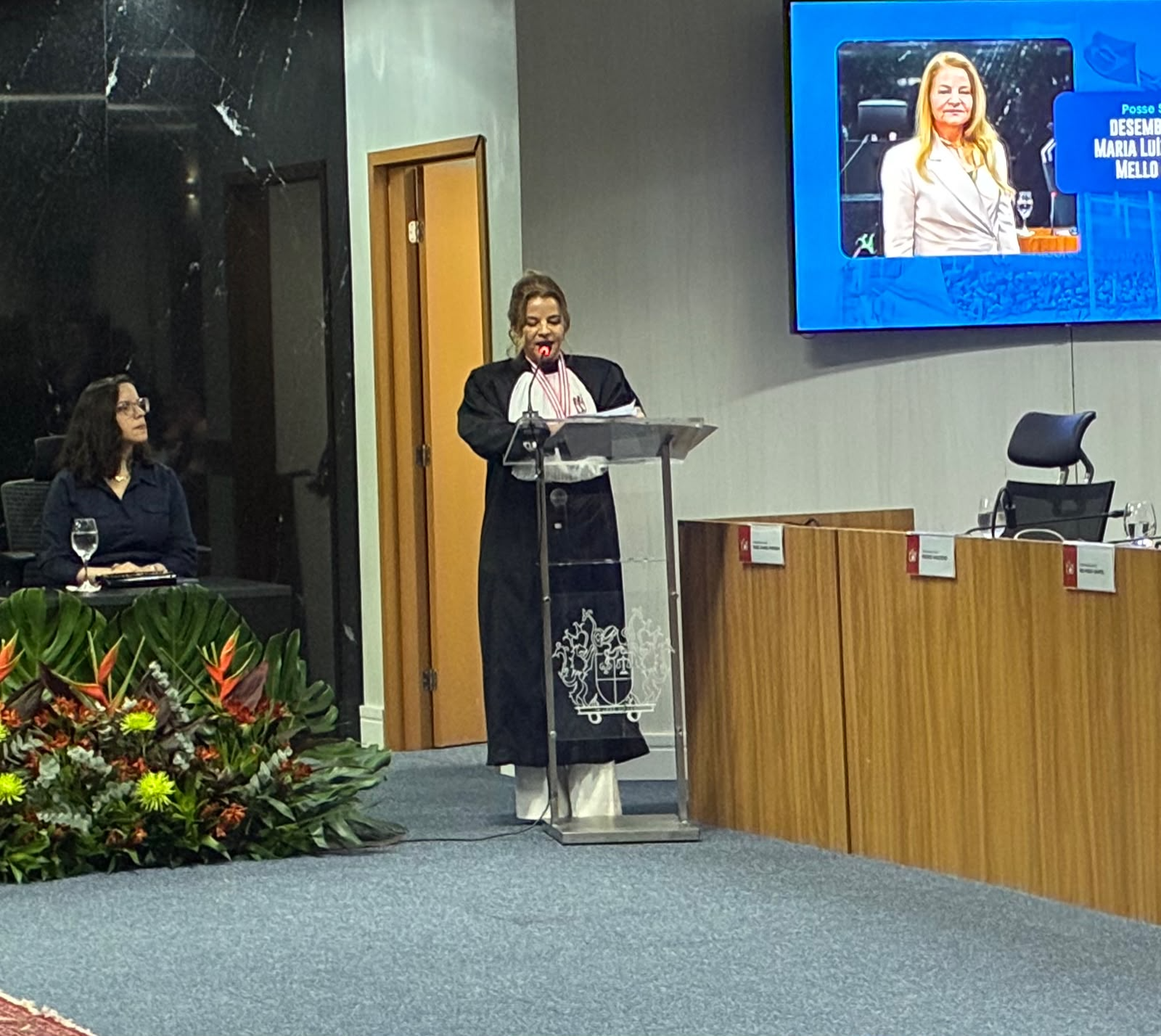 Desembargadora Maria Luiza
