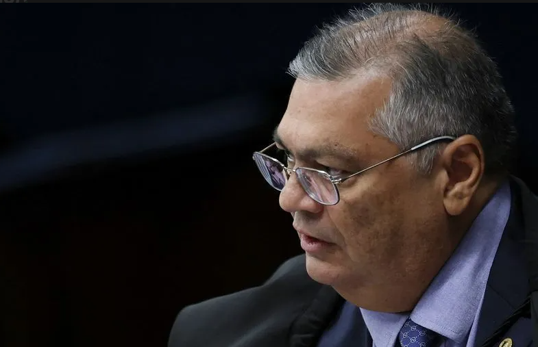 Flavio Dino