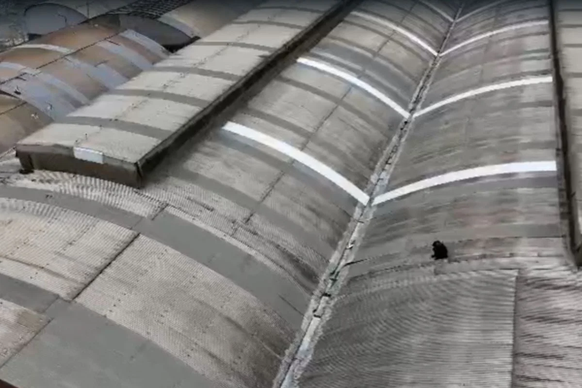 Homem invade fábrica de refrigerantes e tenta fugir pelo telhado.