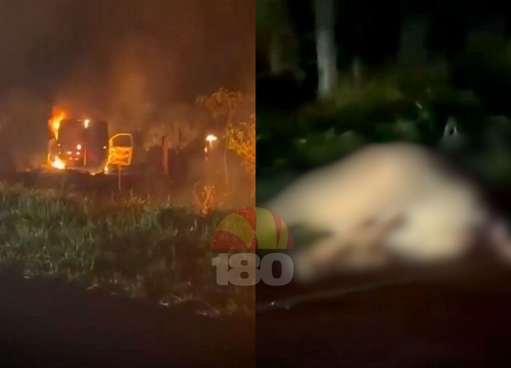 Motorista e enfermeira escapam ilesos após ambulância atingir vaca e pegar fogo