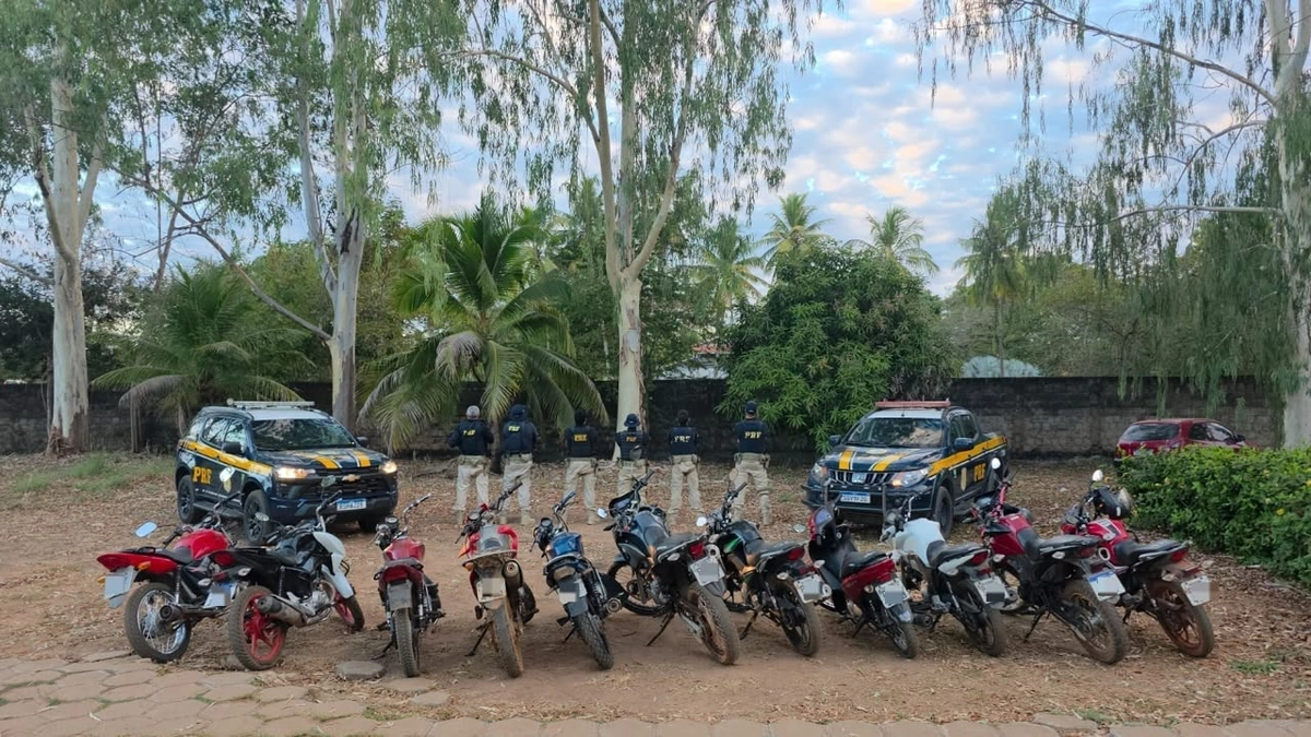 PRF realiza Operação Duplicatus II e recupera 49 veículos no Piauí