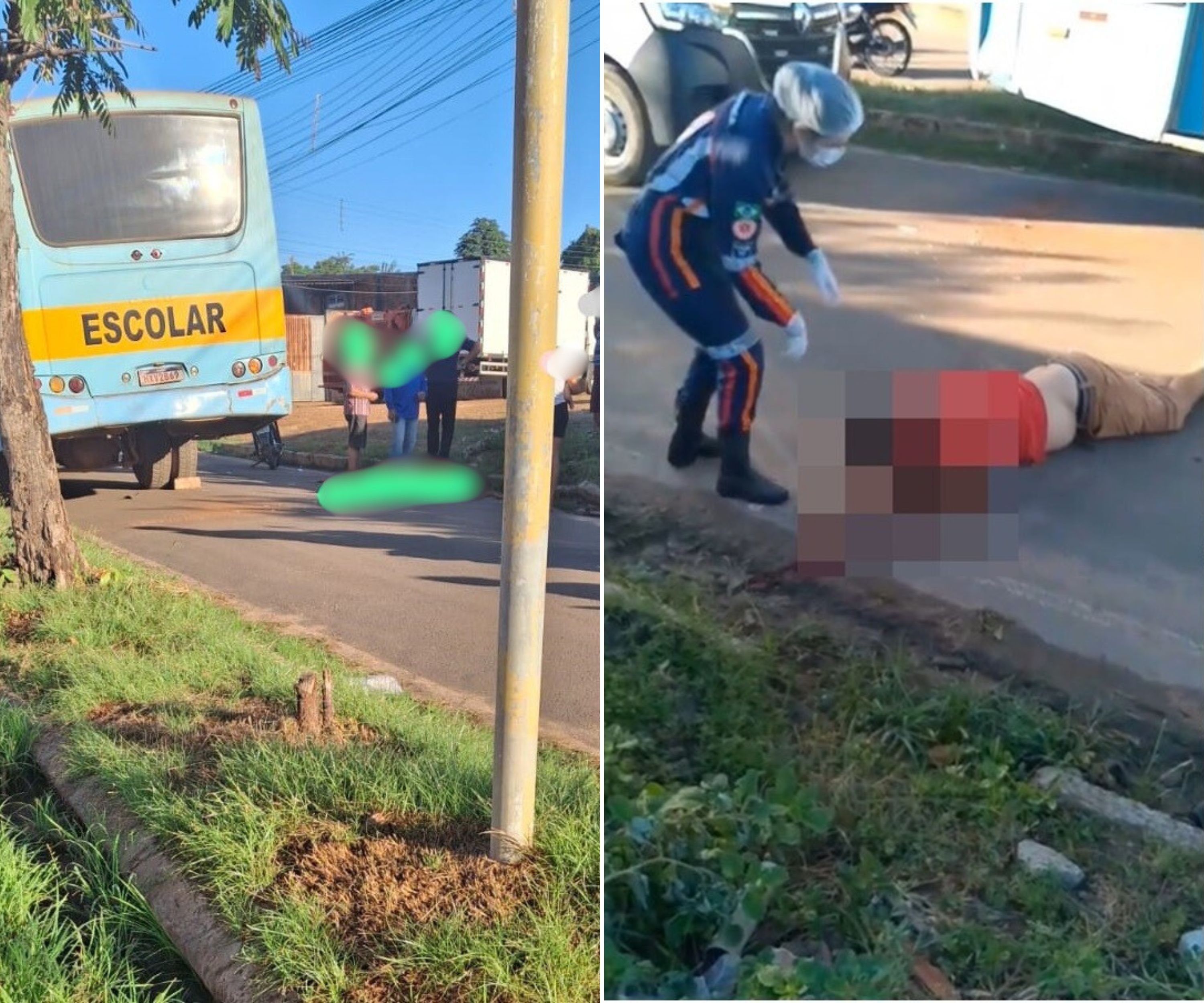 Reprodução