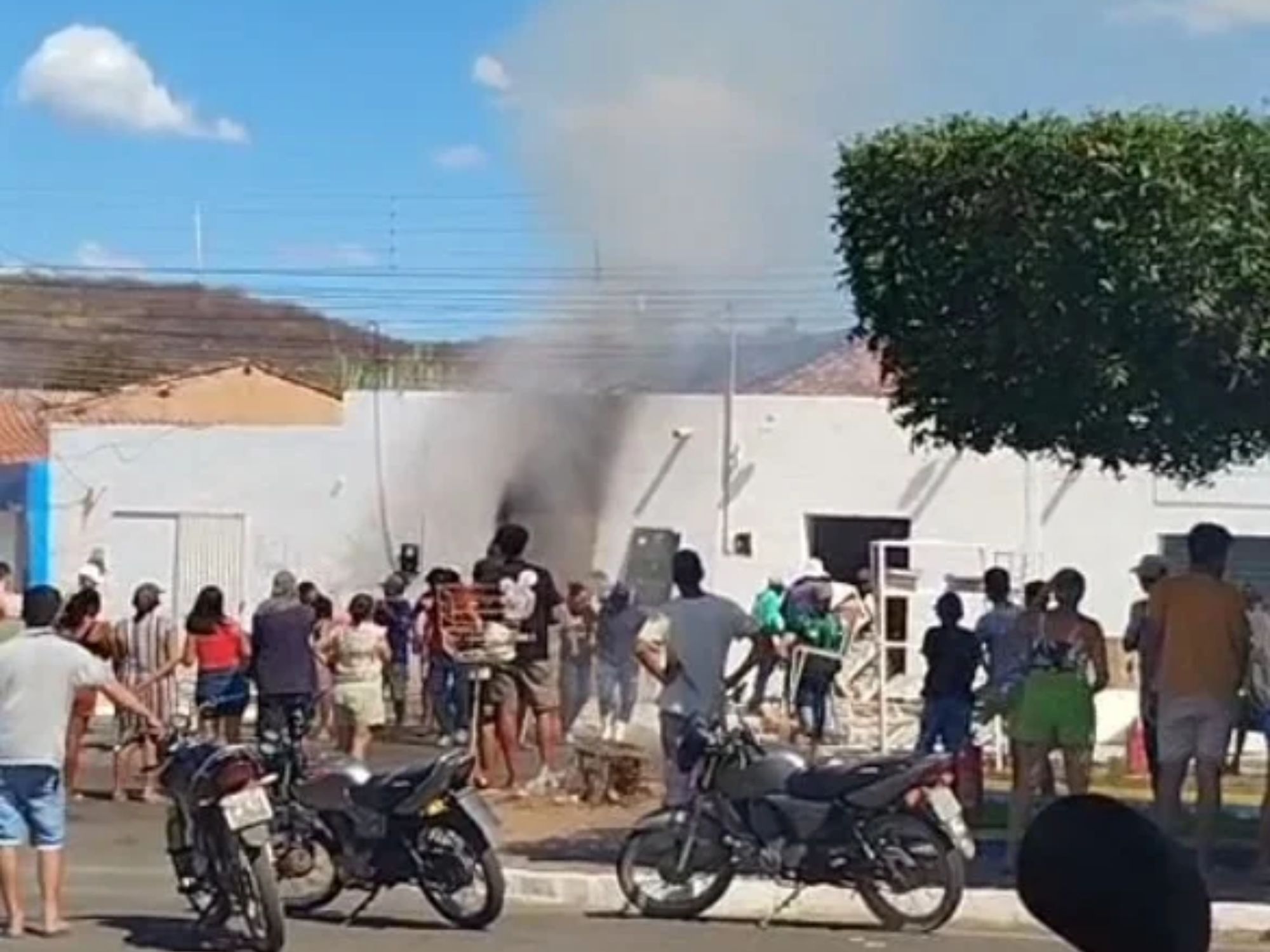 Reprodução