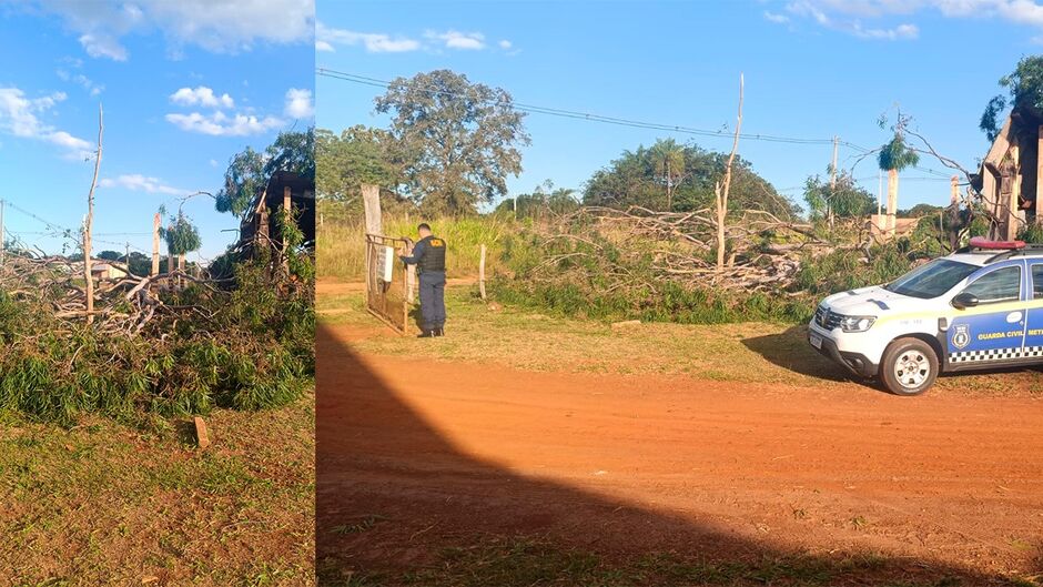 Reprodução